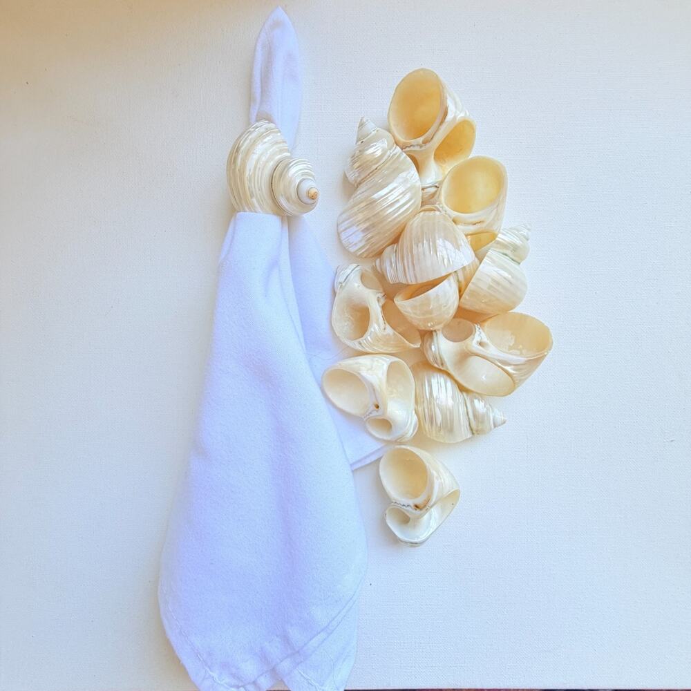 Set of 12 Natural Turbo Shell Napkin Rings Coastal Beach House Table Decor
